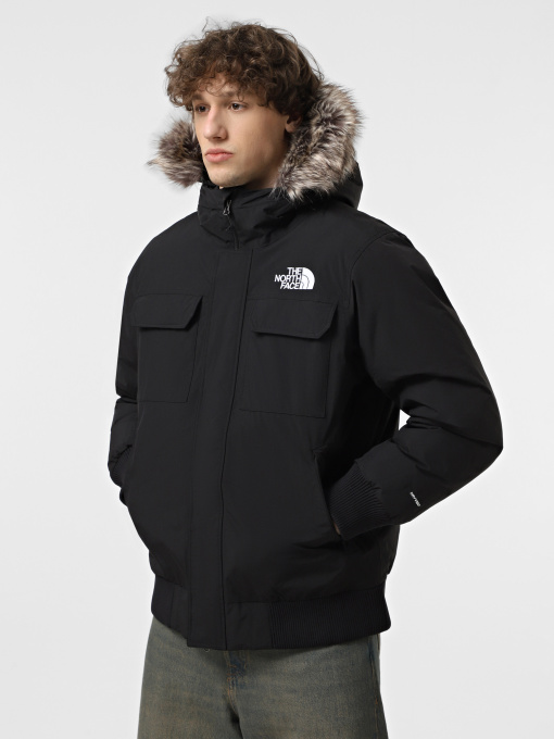 Куртки и дубленки The North Face Mcmurdo модель NF0A5GD9JK31 Фото
