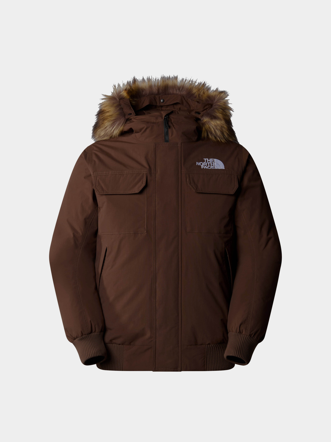 Куртки та дублянки The North Face Mcmurdo модель NF0A5GD91OI1 Фото