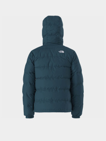 Куртки та дублянки The North Face Hydrenalite модель NF0A5GIE1NO1 Фото