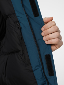 Куртки и дубленки The North Face Mcmurdo модель NF0A5GJF5LO1 Фото