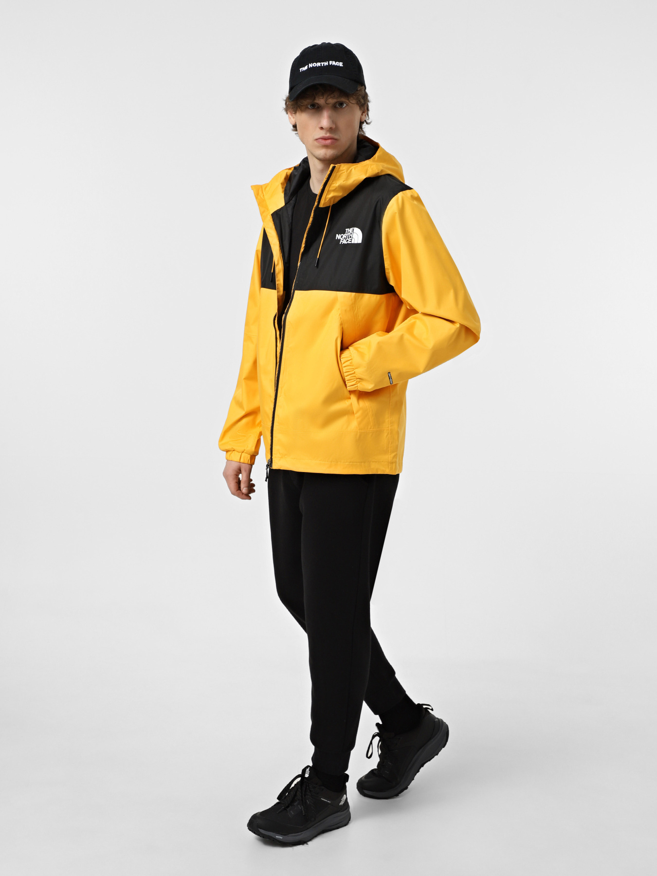 Куртки и дубленки The North Face Mountain Q модель NF0A5IG256P1 Фото