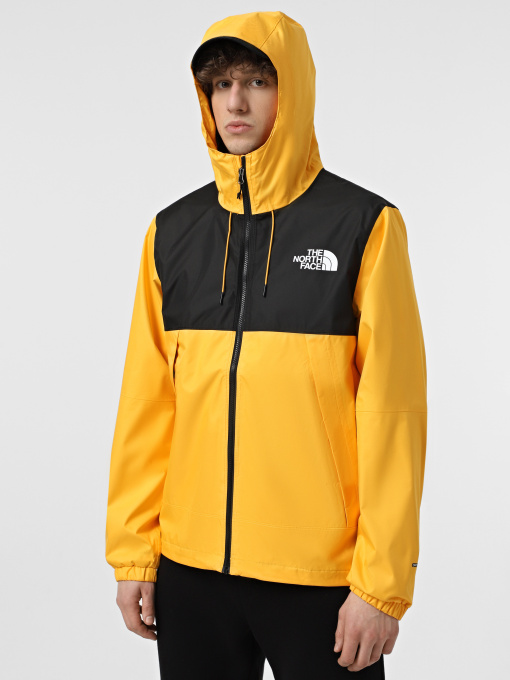 Куртки та дублянки The North Face Mountain Q модель NF0A5IG256P1 Фото