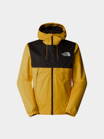 Куртки и дубленки The North Face Mountain Q модель NF0A5IG256P1 Фото