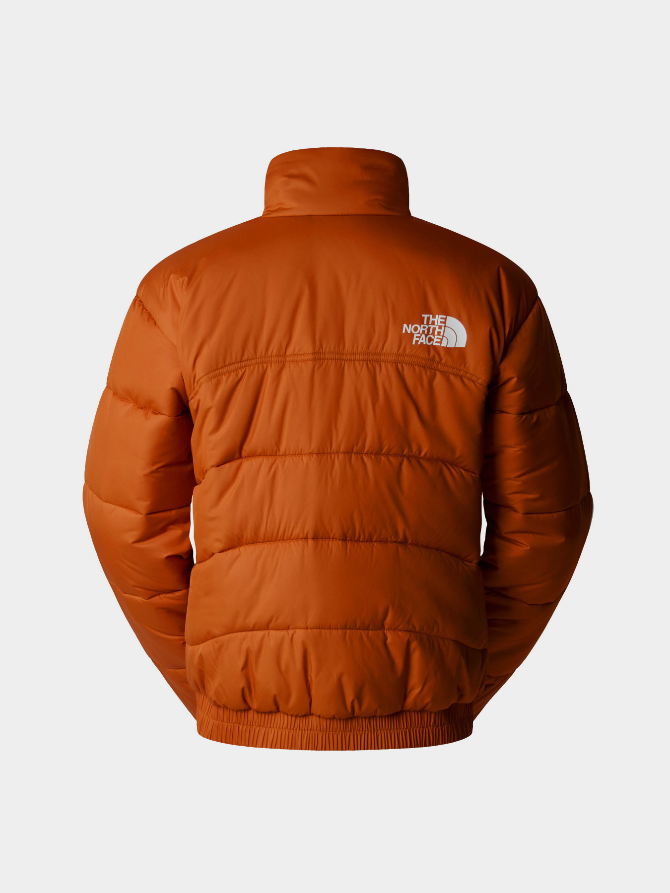Куртки та дублянки The North Face 2000 модель NF0A7URE1I01 Куртки та дублянки The North Face 2000 модель NF0A7URE1I01 Фото