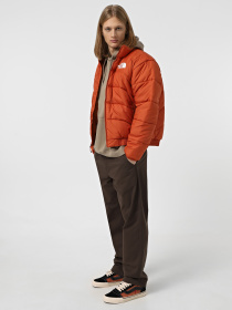 Куртки та дублянки The North Face 2000 модель NF0A7URE1I01 Фото