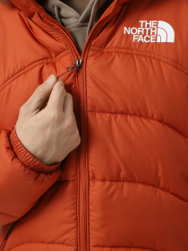Куртки та дублянки The North Face 2000 модель NF0A7URE1I01 Фото