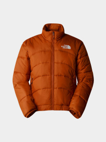 Куртки та дублянки The North Face 2000 модель NF0A7URE1I01 Фото