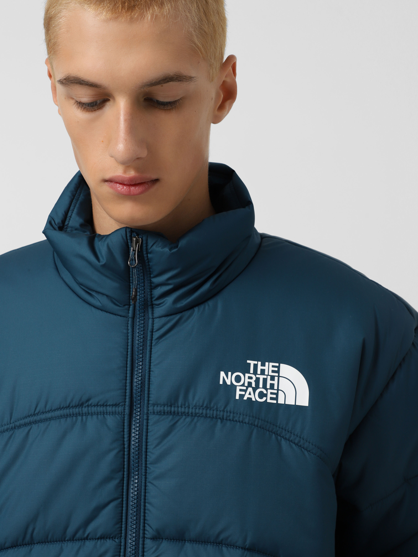 Куртки та дублянки The North Face 2000 модель NF0A7URE1NO1 Куртки та дублянки The North Face 2000 модель NF0A7URE1NO1 Фото