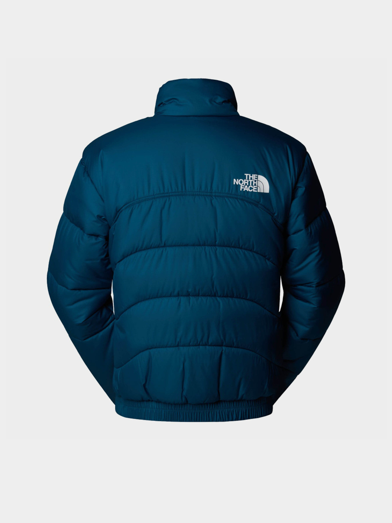 Куртки та дублянки The North Face 2000 модель NF0A7URE1NO1 Куртки та дублянки The North Face 2000 модель NF0A7URE1NO1 Фото