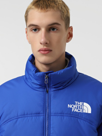 Куртки и дубленки The North Face 2000 Synthetic Puffer модель NF0A7URECZ61 Фото