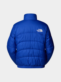 Куртки и дубленки The North Face 2000 Synthetic Puffer модель NF0A7URECZ61 Фото