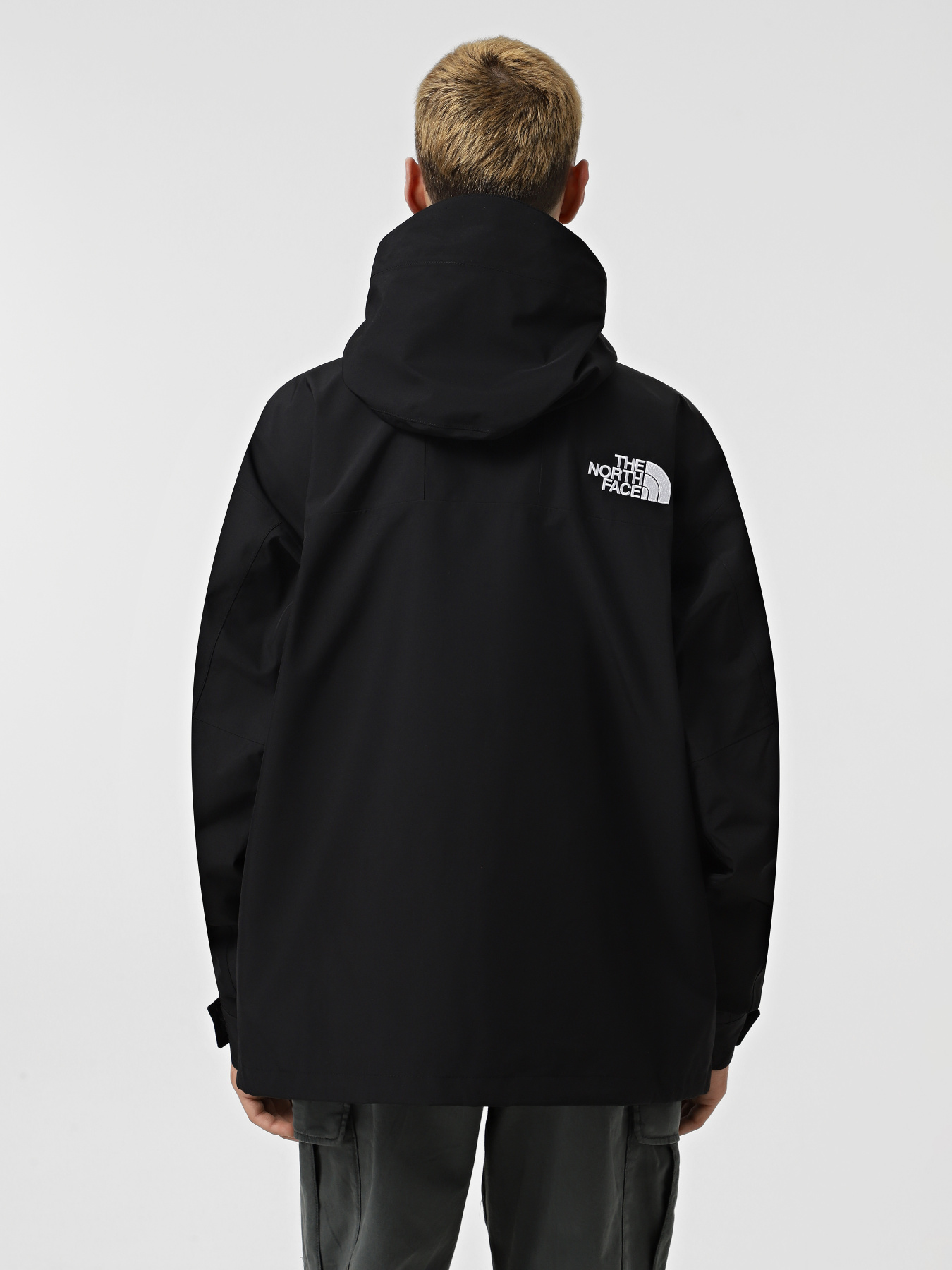 Куртки та дублянки The North Face GORE-TEX® Mountain модель NF0A831M4HF1 Фото