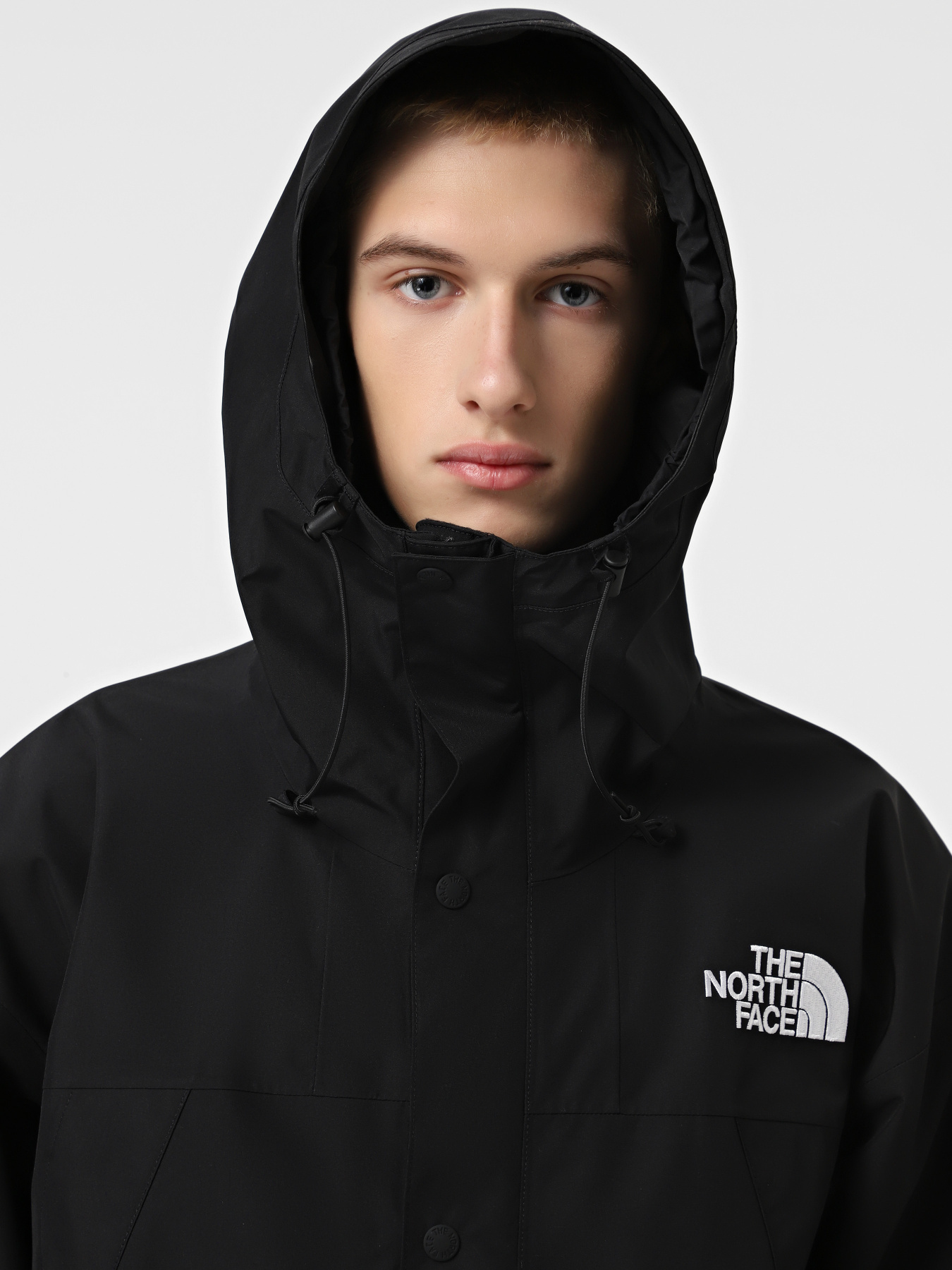 Куртки та дублянки The North Face GORE-TEX® Mountain модель NF0A831M4HF1 Фото