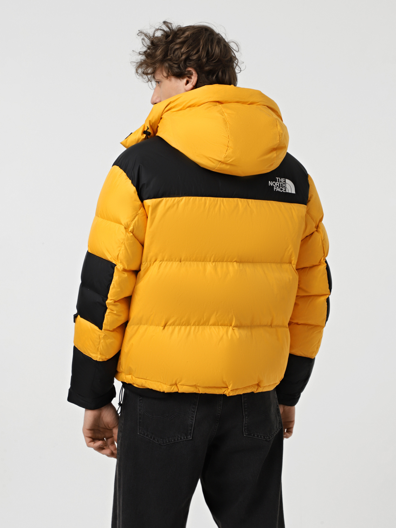 Куртки та дублянки The North Face Hmlyn Baltoro модель NF0A832G4WP1 Фото