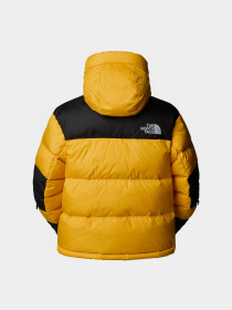 Куртки та дублянки The North Face Hmlyn Baltoro модель NF0A832G4WP1 Фото