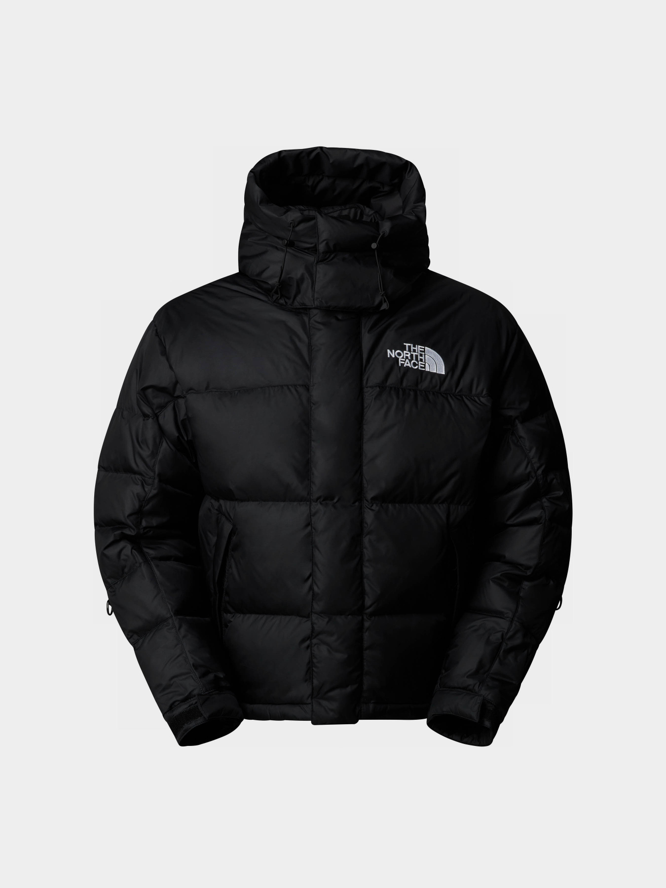 Куртки и дубленки The North Face Hmlyn Baltoro модель NF0A832G4H01 Фото