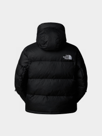 Куртки и дубленки The North Face Hmlyn Baltoro модель NF0A832G4H01 Фото