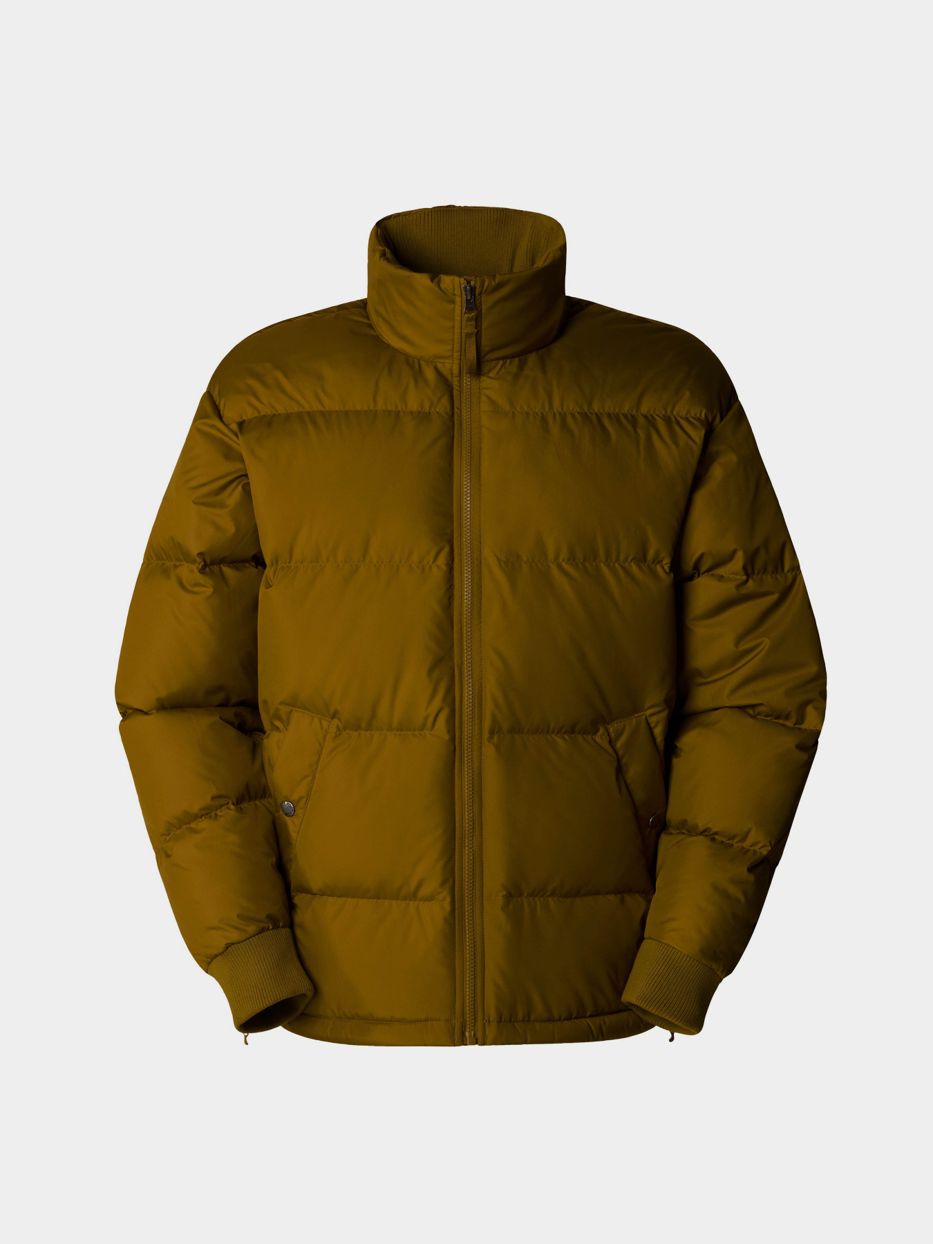 Куртки та дублянки The North Face Down Paralta Puffer модель NF0A85281OB1 Фото