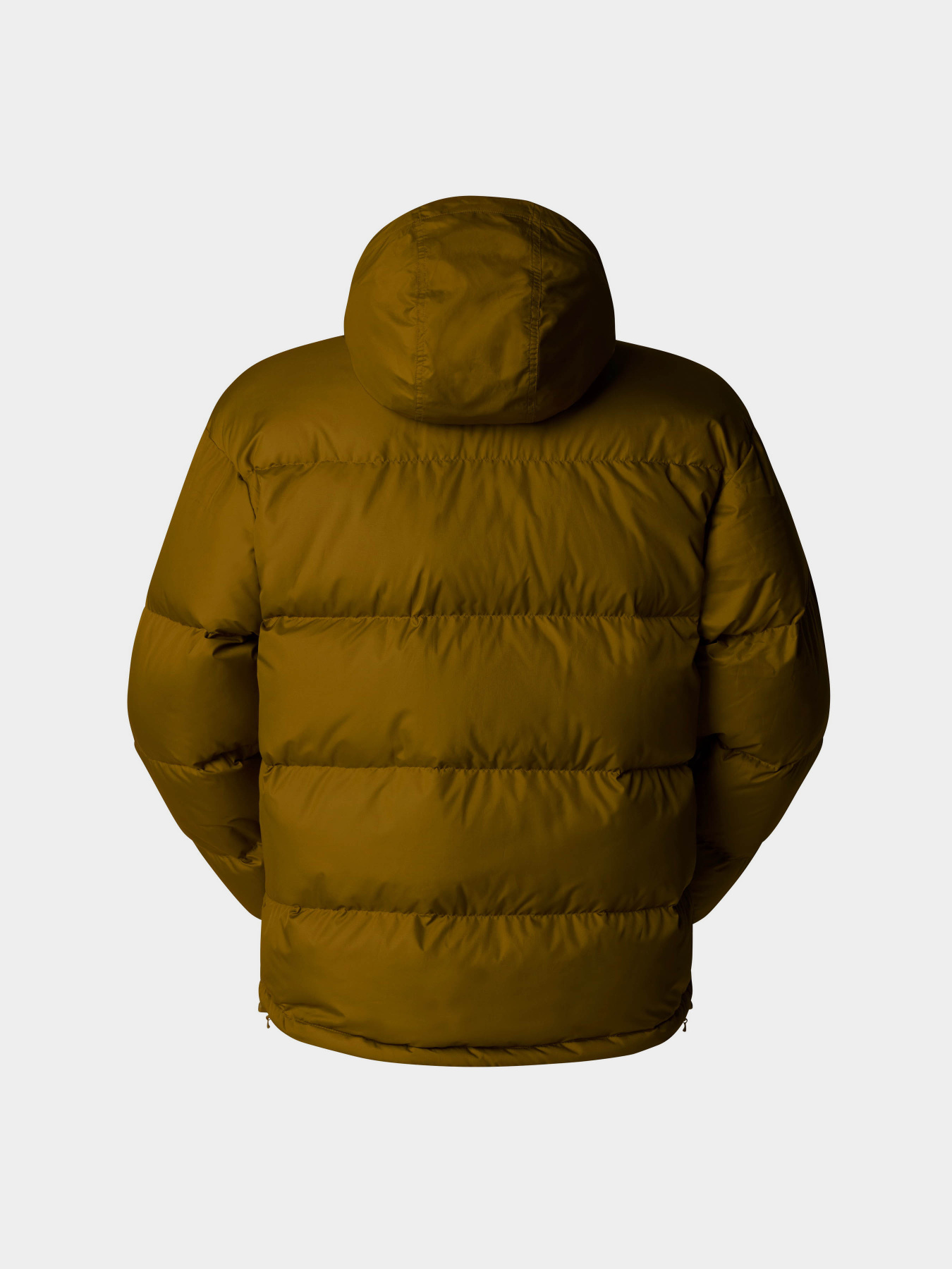 Куртки та дублянки The North Face Down Paralta Puffer модель NF0A85281OB1 Фото