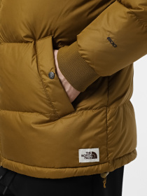 Куртки та дублянки The North Face Down Paralta Puffer модель NF0A85281OB1 Фото