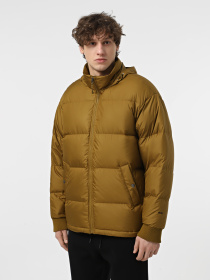Куртки и дубленки The North Face Down Paralta Puffer модель NF0A85281OB1 Фото
