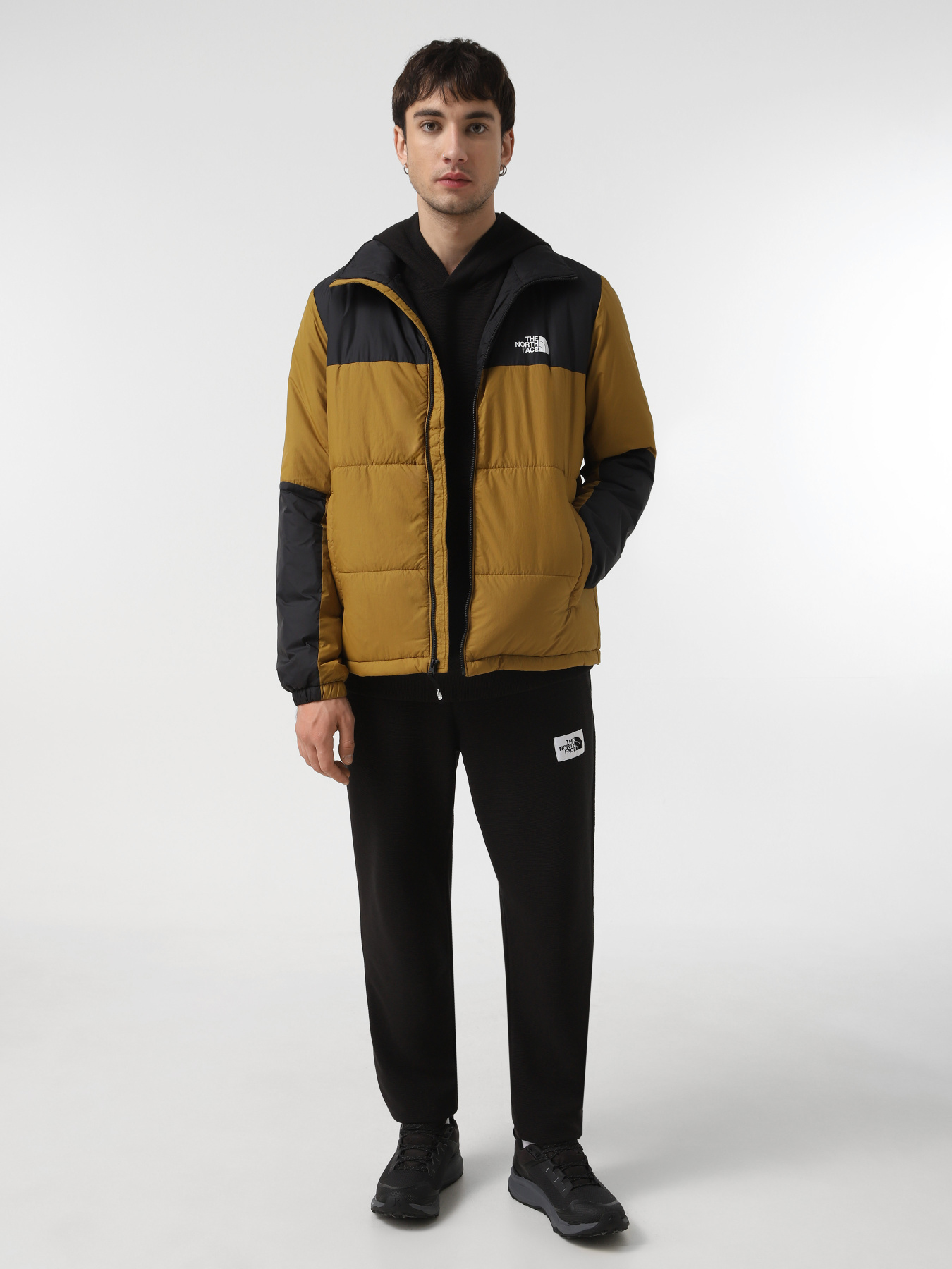 Куртки та дублянки The North Face Gosei Puffer модель NF0A87951OB1 Фото