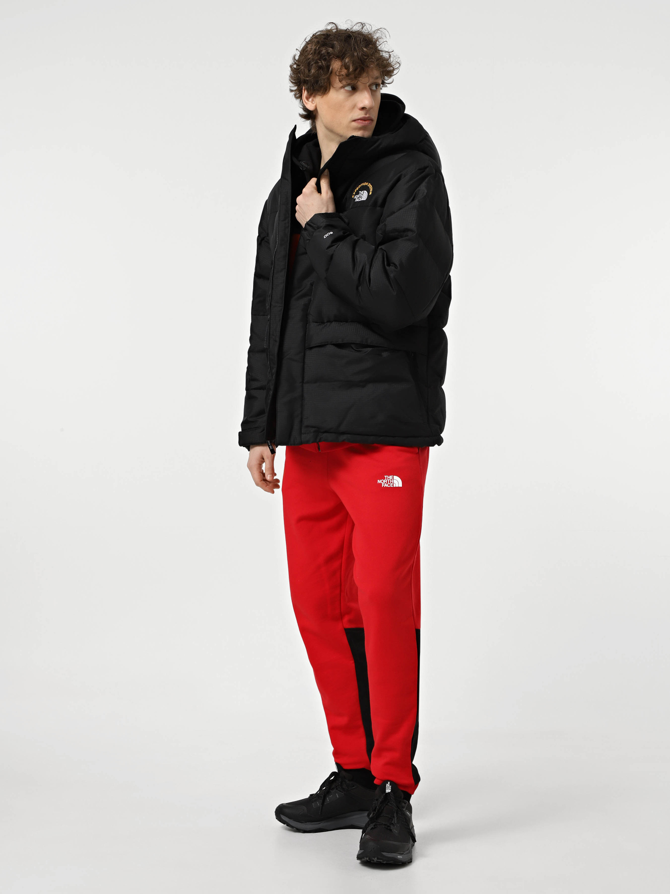 Куртки та дублянки The North Face Hmlyn 30 Anniversary модель NF0A88XEJK31 Фото