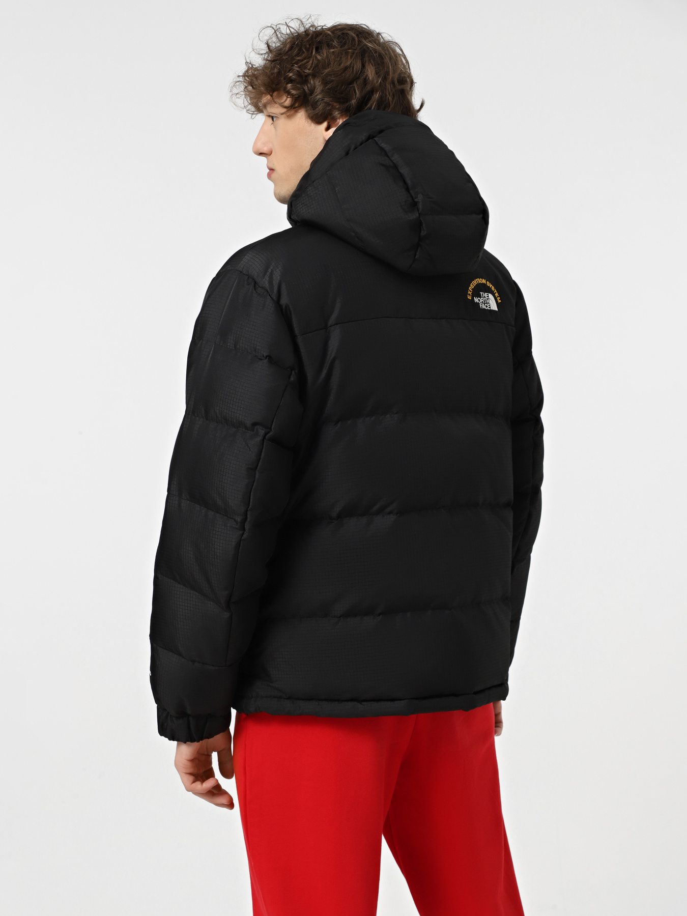 Куртки та дублянки The North Face Hmlyn 30 Anniversary модель NF0A88XEJK31 Фото