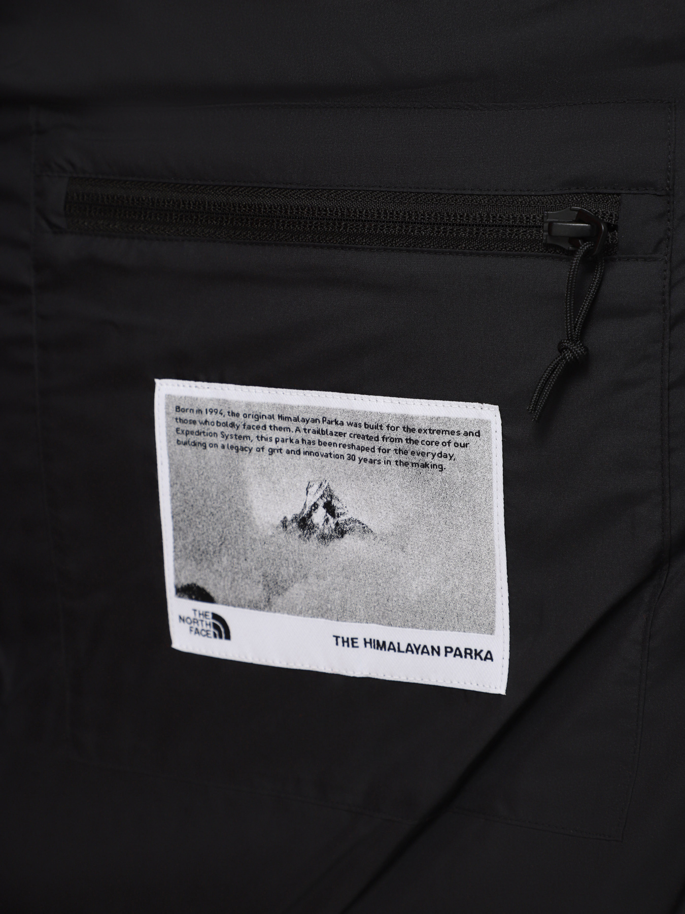 Куртки та дублянки The North Face Hmlyn 30 Anniversary модель NF0A88XEJK31 Фото