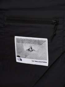 Куртки та дублянки The North Face Hmlyn 30 Anniversary модель NF0A88XEJK31 Фото