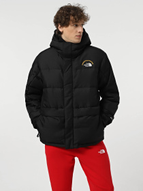 Куртки та дублянки The North Face Hmlyn 30 Anniversary модель NF0A88XEJK31 Фото