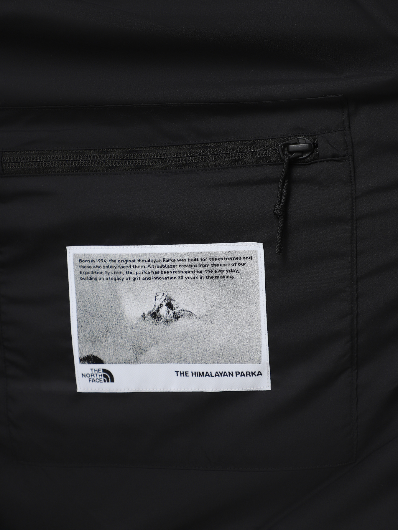 Куртки та дублянки The North Face Hmlyn 30 Anniversary модель NF0A88XE1OA1 Фото