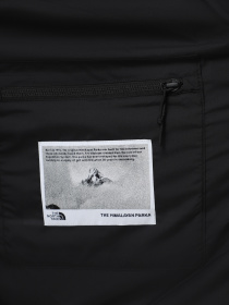 Куртки та дублянки The North Face Hmlyn 30 Anniversary модель NF0A88XE1OA1 Фото