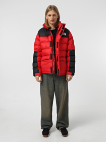 Куртки та дублянки The North Face Monterosa Insulated модель NF0A89EG6821 Фото