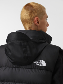 Куртки та дублянки The North Face Limbara модель NF0A89G6JK31 Фото