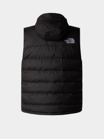 Куртки та дублянки The North Face Limbara модель NF0A89G6JK31 Фото