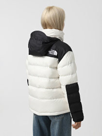 Куртки и дубленки The North Face Monterosa Insulated модель NF0A89G9QLI1 Фото
