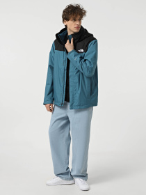 Куртки и дубленки The North Face Evolve II Triclimate модель NF00CG55SF71 Фото