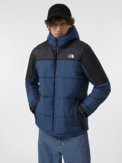 Куртки и дубленки The North Face Circular модель NF0A7ZIUB0B1 Фото