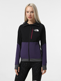 Худи и свитшоты The North Face Binntal Hybrid Ventrix модель NF0A87HP0IF1 Фото