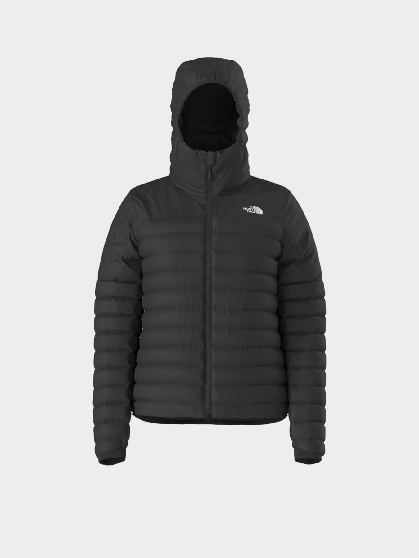 Куртки та дублянки The North Face Terra Peak модель NF0A88TUJK31 Фото