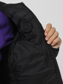 Куртки та дублянки The North Face Terra Peak модель NF0A88TUJK31 Фото
