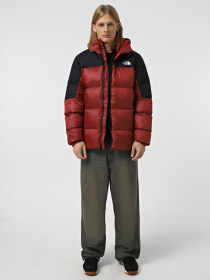 Куртки та дублянки The North Face Diablo Down модель NF0A899290O1 Фото