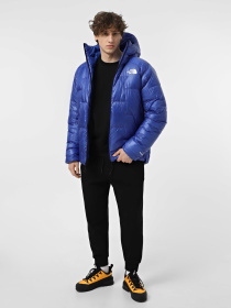 Куртки и дубленки The North Face Summit Pumori модель NF0A8AK5CZ61 Фото