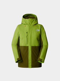 Куртки и дубленки The North Face Freedom Insulated модель NF0A82VU5QI1 Фото