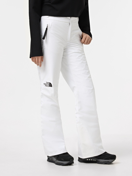 Брюки The North Face Descendit модель NF0A87ZZFN41 Фото