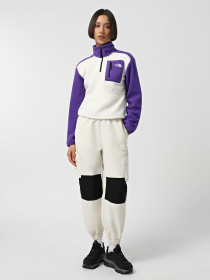 Брюки The North Face Himalayan Track модель NF0A88Z6ROU1 Фото