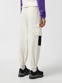 Брюки The North Face Himalayan Track модель NF0A88Z6ROU1 Фото