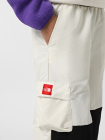Брюки The North Face Himalayan Track модель NF0A88Z6ROU1 Фото