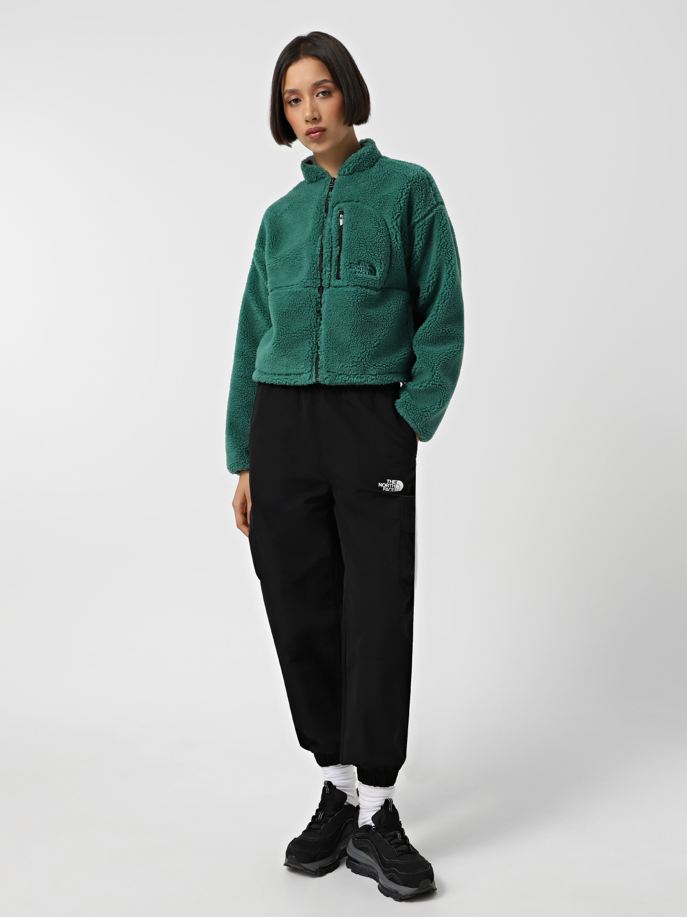 Брюки The North Face Himalayan Track модель NF0A88Z6JK31 Фото
